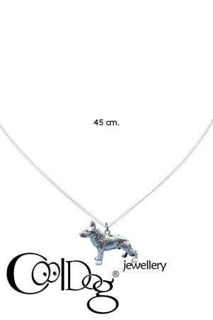 Zilveren hanger inclusief Zilveren collier 45cm.